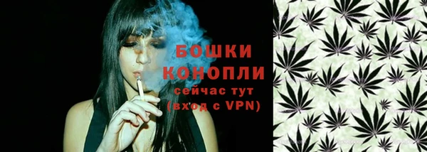 гашик Алексеевка