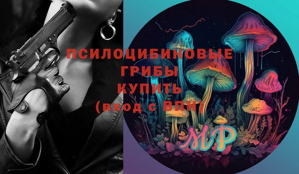 гашик Алексеевка