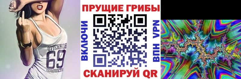 цены   Краснообск  Галлюциногенные грибы GOLDEN TEACHER 